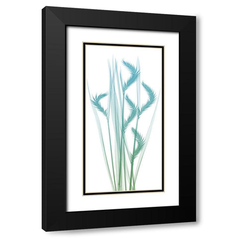 Serene Flourish 1 Black Modern Wood Framed Art Print with Double Matting by Koetsier, Albert