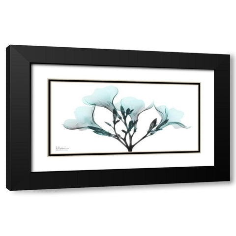 Oleander Mist 1 Black Modern Wood Framed Art Print with Double Matting by Koetsier, Albert