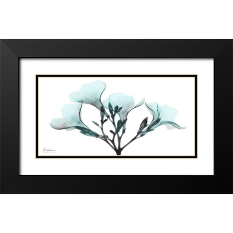 Oleander Mist 1 Black Modern Wood Framed Art Print with Double Matting by Koetsier, Albert