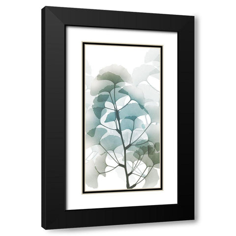 Sea Breeze Ginko 1 Black Modern Wood Framed Art Print with Double Matting by Koetsier, Albert