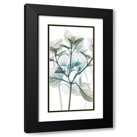 Sea Breeze Pleasures 1 Black Modern Wood Framed Art Print with Double Matting by Koetsier, Albert