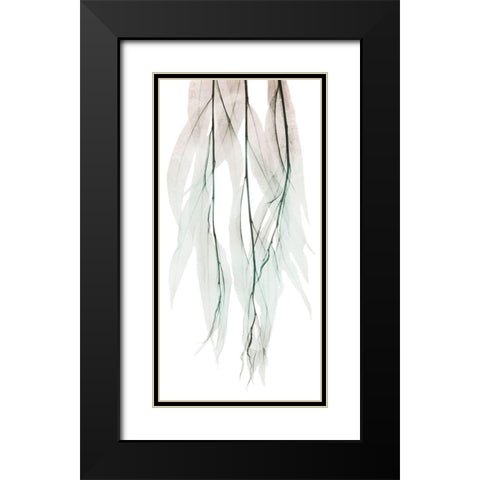 Seashore Growth 1 Black Modern Wood Framed Art Print with Double Matting by Koetsier, Albert