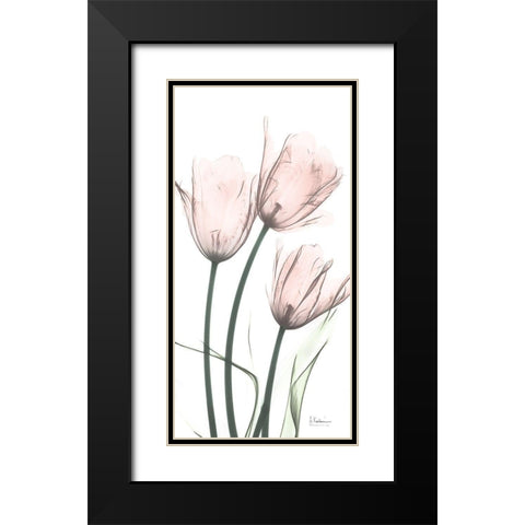 Strawberry Infused Tulips Black Modern Wood Framed Art Print with Double Matting by Koetsier, Albert