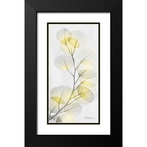 Eucalyptus Sunshine 1 Black Modern Wood Framed Art Print with Double Matting by Koetsier, Albert