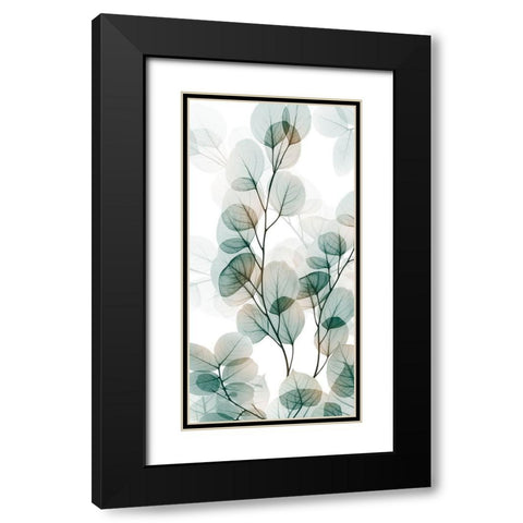 Natural Reach 1 Black Modern Wood Framed Art Print with Double Matting by Koetsier, Albert