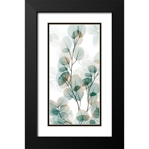 Natural Reach 1 Black Modern Wood Framed Art Print with Double Matting by Koetsier, Albert