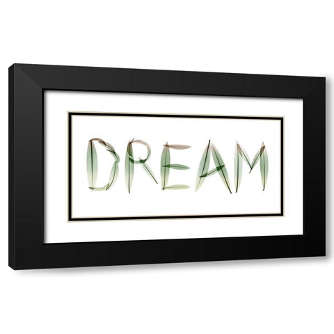 Dream Black Modern Wood Framed Art Print with Double Matting by Koetsier, Albert