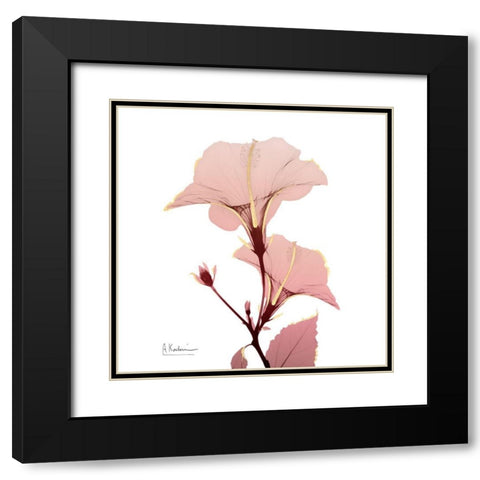 Golden Blush 1 Black Modern Wood Framed Art Print with Double Matting by Koetsier, Albert