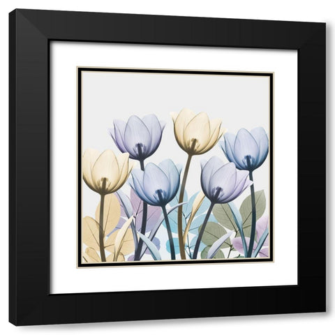 Tulip Collage 1 Black Modern Wood Framed Art Print with Double Matting by Koetsier, Albert