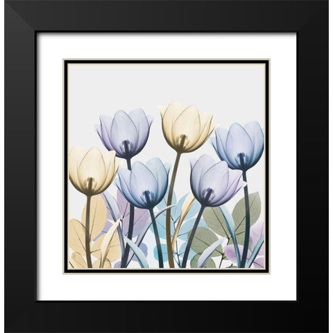 Tulip Collage 1 Black Modern Wood Framed Art Print with Double Matting by Koetsier, Albert