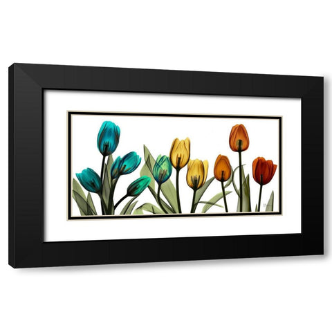 New Tulipscape Black Modern Wood Framed Art Print with Double Matting by Koetsier, Albert