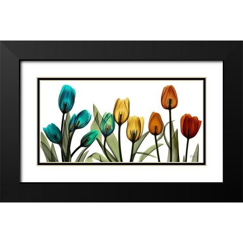 New Tulipscape Black Modern Wood Framed Art Print with Double Matting by Koetsier, Albert