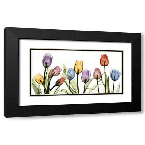 Tulipscape Black Modern Wood Framed Art Print with Double Matting by Koetsier, Albert