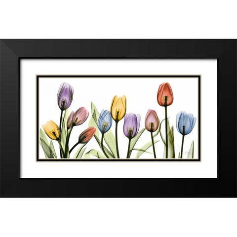 Tulipscape Black Modern Wood Framed Art Print with Double Matting by Koetsier, Albert