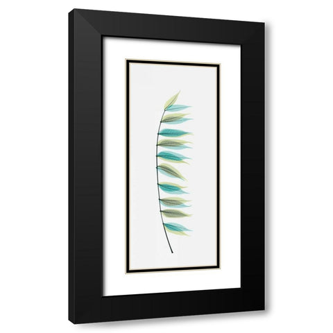 Chinese Pistachio Black Modern Wood Framed Art Print with Double Matting by Koetsier, Albert