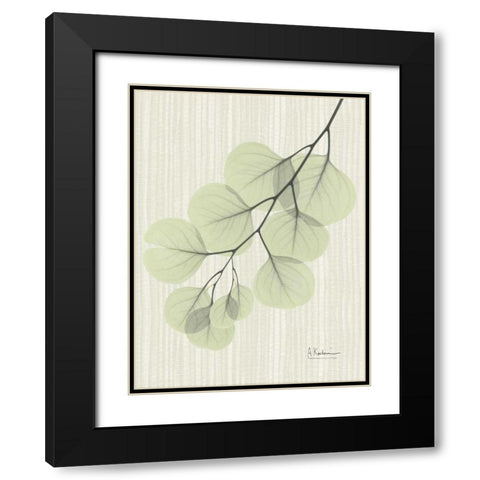 Eucalyptus E196 Black Modern Wood Framed Art Print with Double Matting by Koetsier, Albert