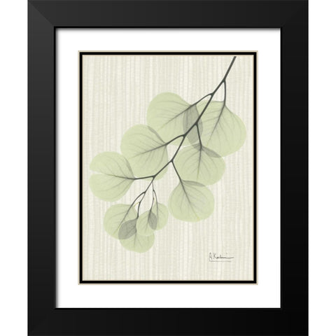 Eucalyptus E196 Black Modern Wood Framed Art Print with Double Matting by Koetsier, Albert