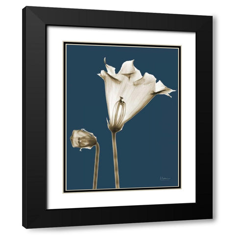 Gloxinia TOP Black Modern Wood Framed Art Print with Double Matting by Koetsier, Albert