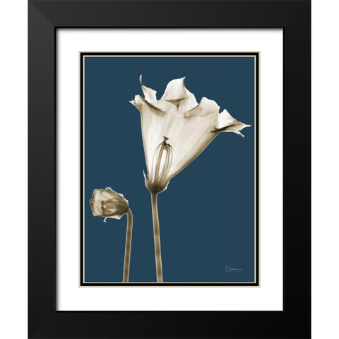 Gloxinia TOP Black Modern Wood Framed Art Print with Double Matting by Koetsier, Albert