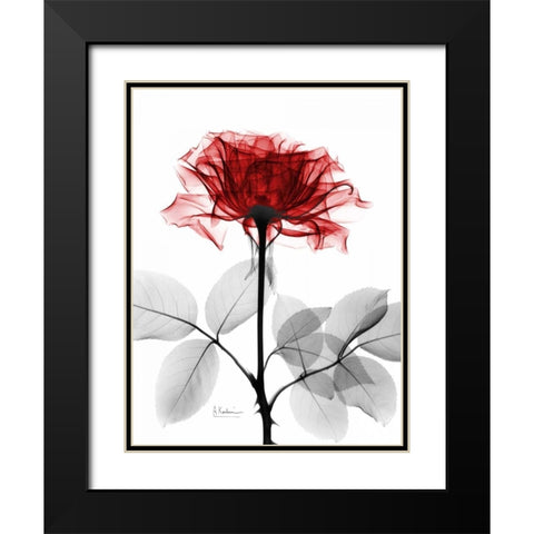 Rose 18 Black Modern Wood Framed Art Print with Double Matting by Koetsier, Albert