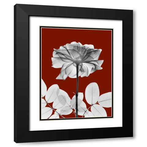 Rose 28 Black Modern Wood Framed Art Print with Double Matting by Koetsier, Albert