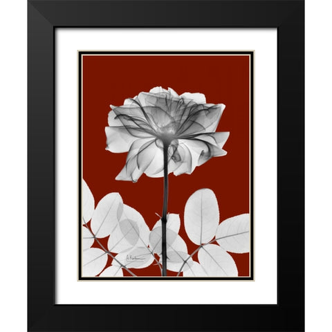 Rose 28 Black Modern Wood Framed Art Print with Double Matting by Koetsier, Albert