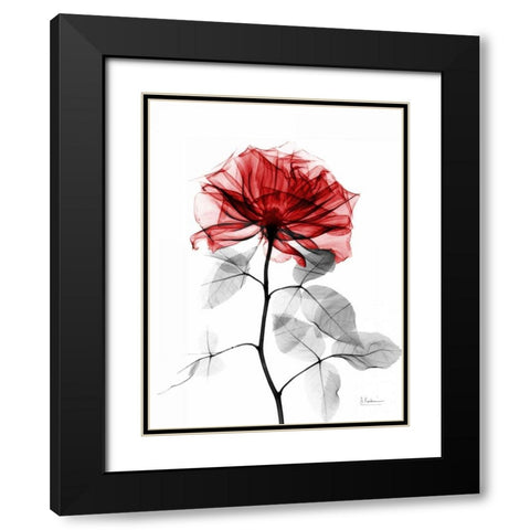 Rose 32 Black Modern Wood Framed Art Print with Double Matting by Koetsier, Albert