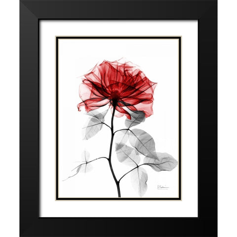 Rose 32 Black Modern Wood Framed Art Print with Double Matting by Koetsier, Albert