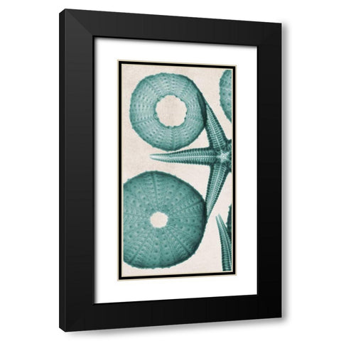 under The Sea 2 Black Modern Wood Framed Art Print with Double Matting by Koetsier, Albert