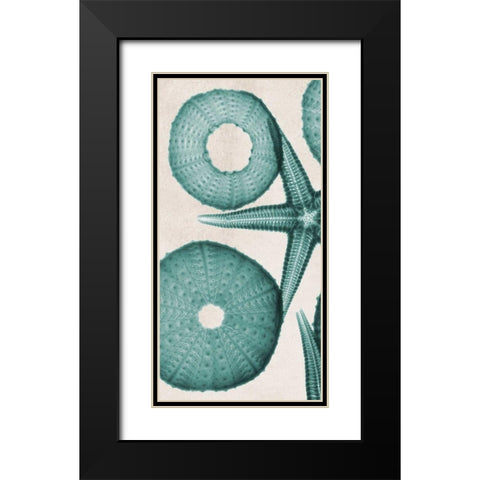 under The Sea 2 Black Modern Wood Framed Art Print with Double Matting by Koetsier, Albert