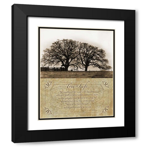 Costa Country Black Modern Wood Framed Art Print with Double Matting by Koetsier, Albert