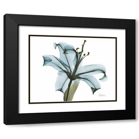 Teal Lily Black Modern Wood Framed Art Print with Double Matting by Koetsier, Albert