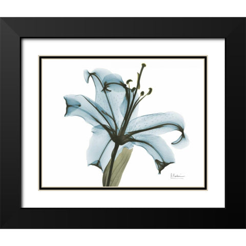 Teal Lily Black Modern Wood Framed Art Print with Double Matting by Koetsier, Albert