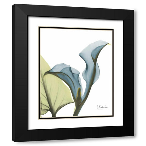 Calla Blues Black Modern Wood Framed Art Print with Double Matting by Koetsier, Albert