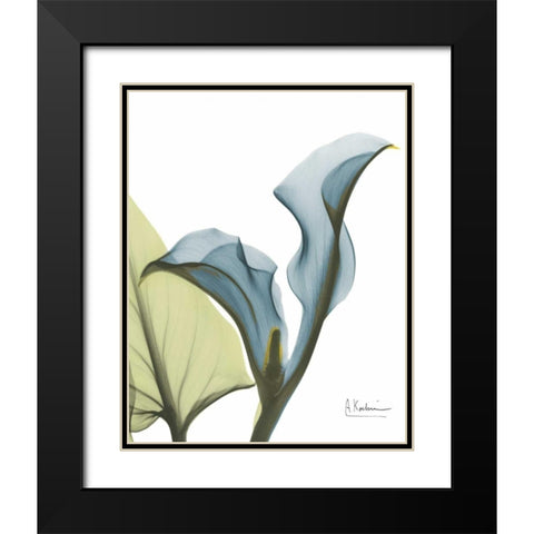 Calla Blues Black Modern Wood Framed Art Print with Double Matting by Koetsier, Albert