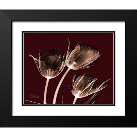 Crimson Tulips Black Modern Wood Framed Art Print with Double Matting by Koetsier, Albert