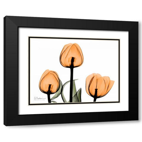 Tulips Orange Black Modern Wood Framed Art Print with Double Matting by Koetsier, Albert