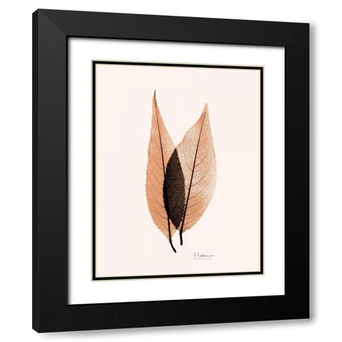 Caplulin Cherry Orange Black Modern Wood Framed Art Print with Double Matting by Koetsier, Albert