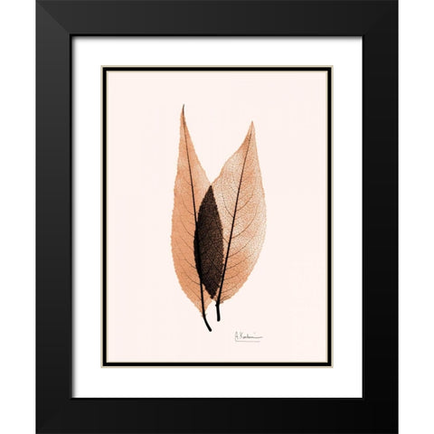 Caplulin Cherry Orange Black Modern Wood Framed Art Print with Double Matting by Koetsier, Albert