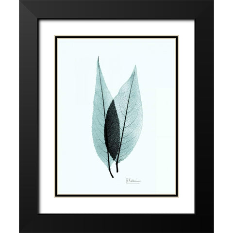 Caplulin Cherry Teal Black Modern Wood Framed Art Print with Double Matting by Koetsier, Albert