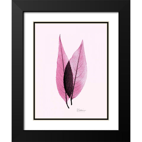 Caplulin Cherry Pink Black Modern Wood Framed Art Print with Double Matting by Koetsier, Albert