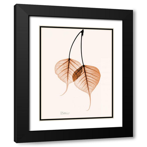 Bodhi Tree orange Black Modern Wood Framed Art Print with Double Matting by Koetsier, Albert