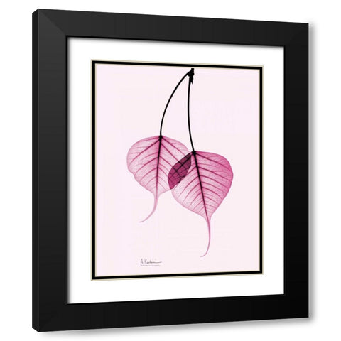 Bodhi Tree Pink Black Modern Wood Framed Art Print with Double Matting by Koetsier, Albert