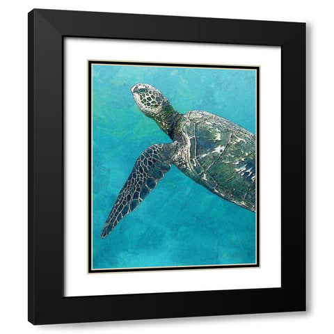 Sea Turtle 3 Black Modern Wood Framed Art Print with Double Matting by Bailey, Ann