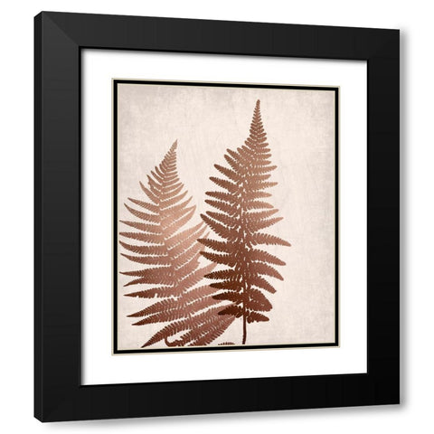 Copper Pink Ferns 1 Black Modern Wood Framed Art Print with Double Matting by Bailey, Ann