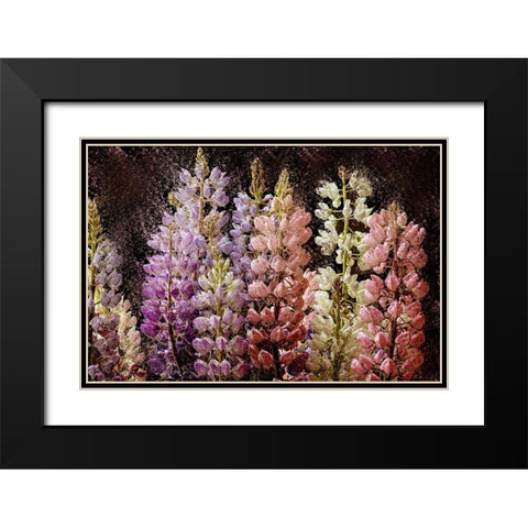 Summer Lupine Black Modern Wood Framed Art Print with Double Matting by Bailey, Ann