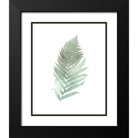Watercolor Fern 2 Black Modern Wood Framed Art Print with Double Matting by Bailey, Ann