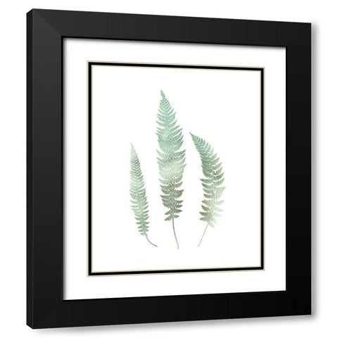 Watercolor Fern 3 Black Modern Wood Framed Art Print with Double Matting by Bailey, Ann