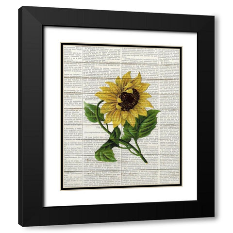 Sunflower Print 1 Black Modern Wood Framed Art Print with Double Matting by Bailey, Ann