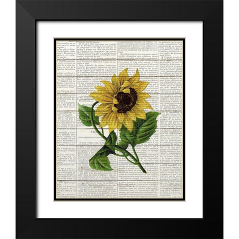 Sunflower Print 1 Black Modern Wood Framed Art Print with Double Matting by Bailey, Ann